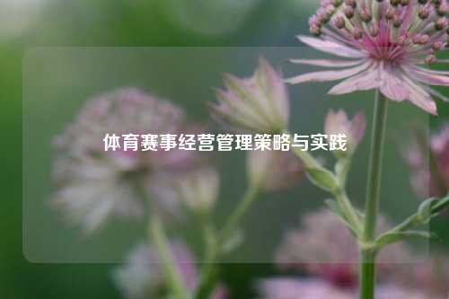 体育赛事经营管理策略与实践