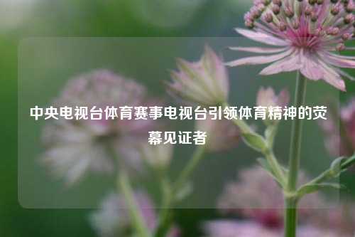 中央电视台体育赛事电视台引领体育精神的荧幕见证者