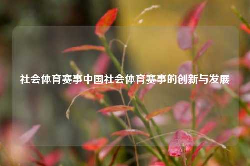 社会体育赛事中国社会体育赛事的创新与发展
