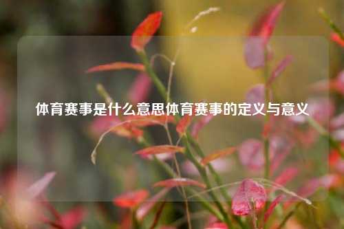 体育赛事是什么意思体育赛事的定义与意义