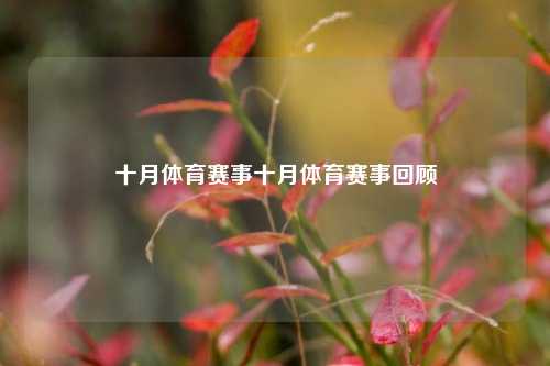 十月体育赛事十月体育赛事回顾