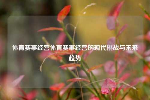 体育赛事经营体育赛事经营的现代挑战与未来趋势