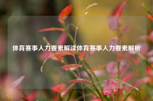 体育赛事人力要素解读体育赛事人力要素解析