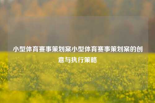 小型体育赛事策划案小型体育赛事策划案的创意与执行策略