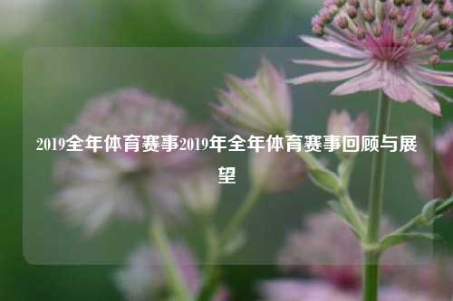 2019全年体育赛事2019年全年体育赛事回顾与展望