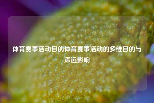 体育赛事活动目的体育赛事活动的多维目的与深远影响