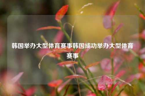 韩国举办大型体育赛事韩国成功举办大型体育赛事