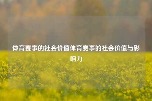 体育赛事的社会价值体育赛事的社会价值与影响力