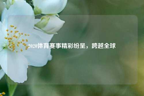 2020体育赛事精彩纷呈，跨越全球