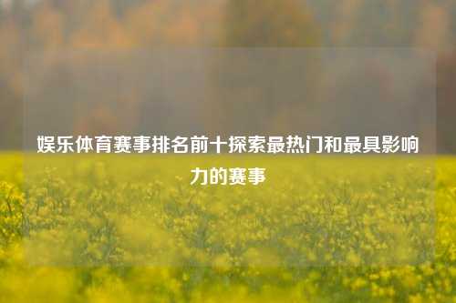 娱乐体育赛事排名前十探索最热门和最具影响力的赛事