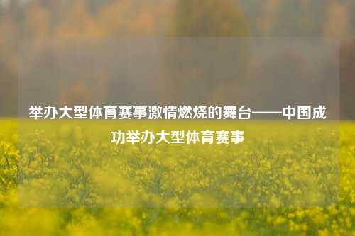 举办大型体育赛事激情燃烧的舞台——中国成功举办大型体育赛事