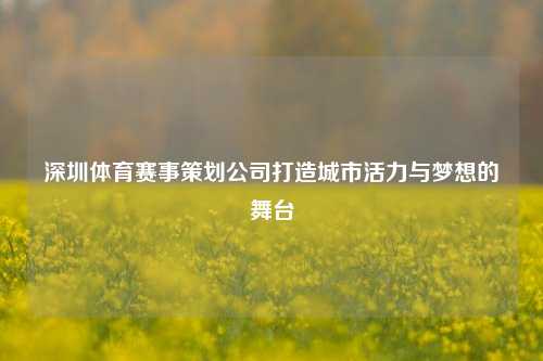深圳体育赛事策划公司打造城市活力与梦想的舞台