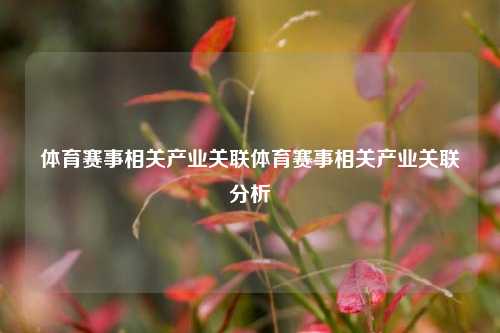 体育赛事相关产业关联体育赛事相关产业关联分析