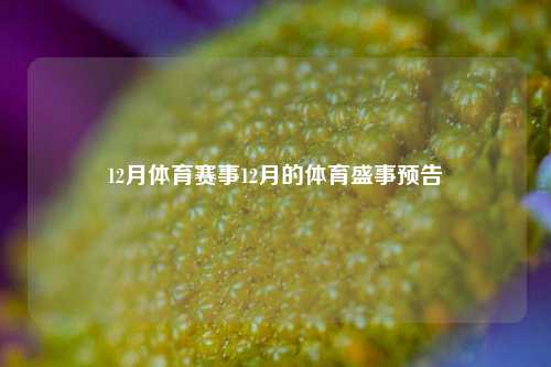 12月体育赛事12月的体育盛事预告