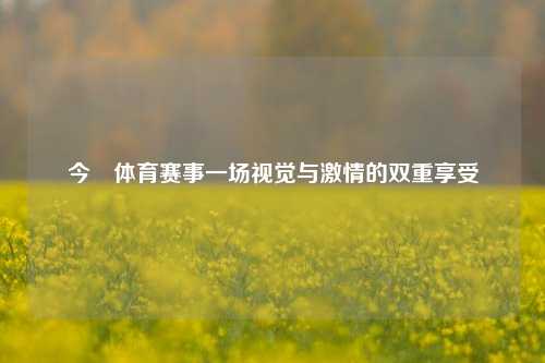 今晩体育赛事一场视觉与激情的双重享受