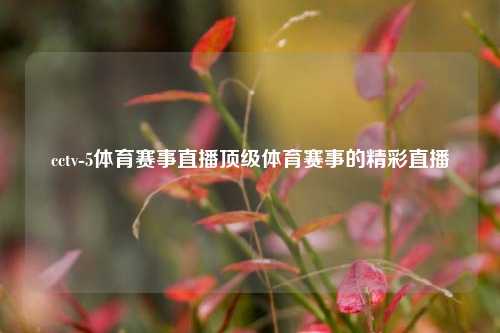 cctv-5体育赛事直播顶级体育赛事的精彩直播