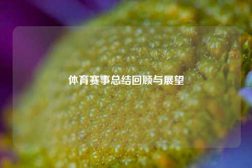 体育赛事总结回顾与展望