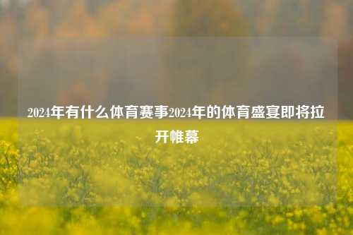 2024年有什么体育赛事2024年的体育盛宴即将拉开帷幕
