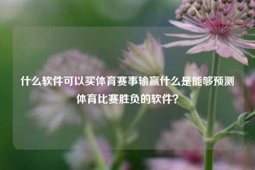 什么软件可以买体育赛事输赢什么是能够预测体育比赛胜负的软件？