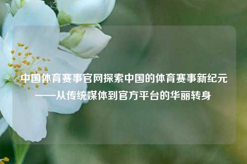 中国体育赛事官网探索中国的体育赛事新纪元——从传统媒体到官方平台的华丽转身