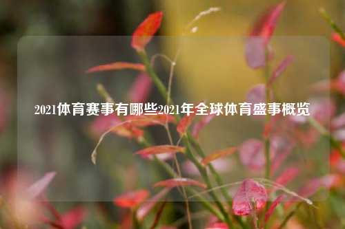 2021体育赛事有哪些2021年全球体育盛事概览