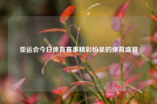 亚运会今日体育赛事精彩纷呈的体育盛宴