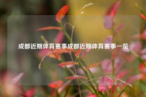成都近期体育赛事成都近期体育赛事一览