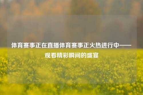 体育赛事正在直播体育赛事正火热进行中——观看精彩瞬间的盛宴