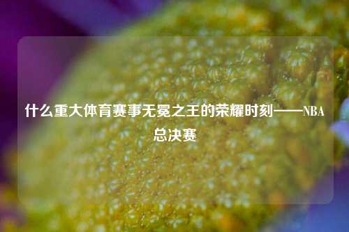 什么重大体育赛事无冕之王的荣耀时刻——NBA总决赛