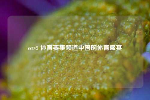 cctv5 体育赛事频道中国的体育盛宴