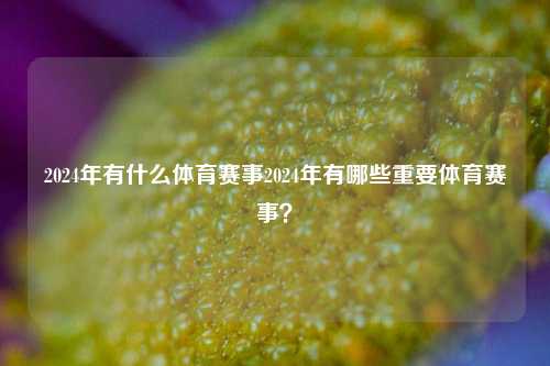 2024年有什么体育赛事2024年有哪些重要体育赛事？