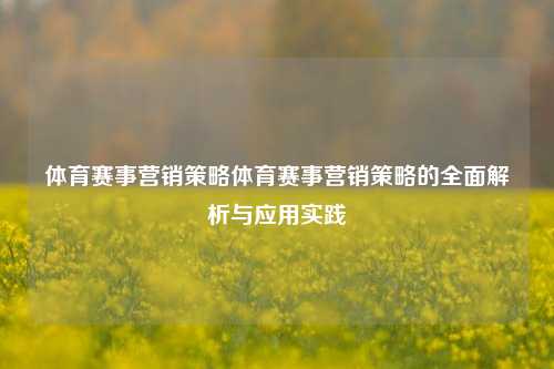 体育赛事营销策略体育赛事营销策略的全面解析与应用实践