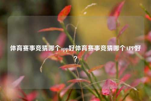 体育赛事竞猜哪个app好体育赛事竞猜哪个APP好？