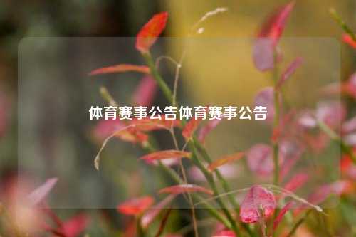 体育赛事公告体育赛事公告
