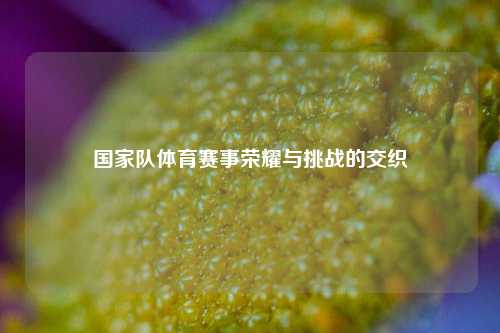国家队体育赛事荣耀与挑战的交织